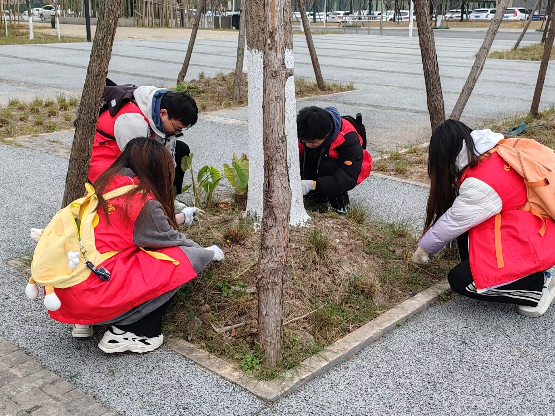 阳春三月学雷锋锄草护绿我先行我院组织学生参与志愿除草活动